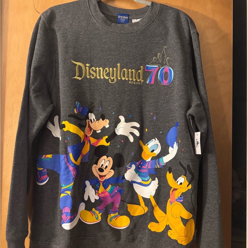 Disney Gray Sweatshirt with Colorful Characters